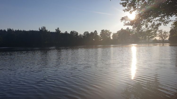 Sunlight on a small, calm lake, a forest on the opposite shore